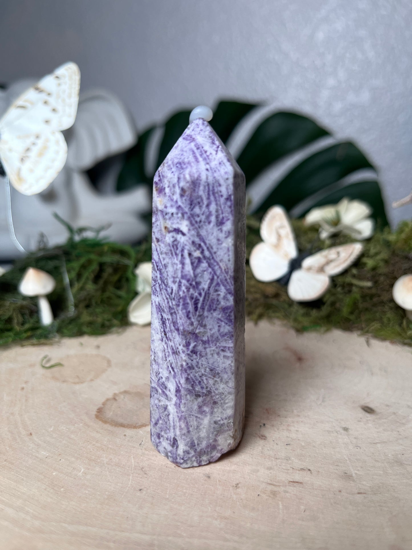 Tiffany Jasper Points