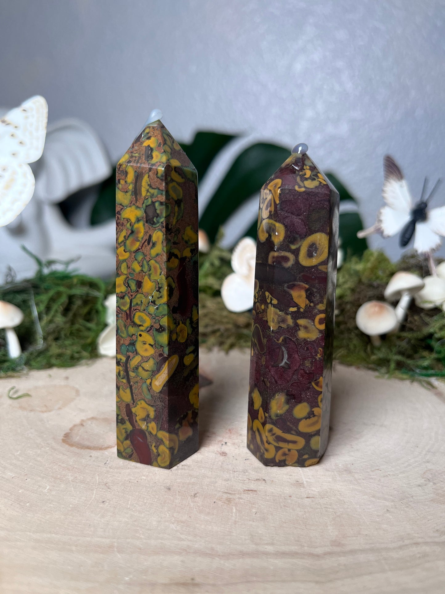 Fruit Jasper Poinr