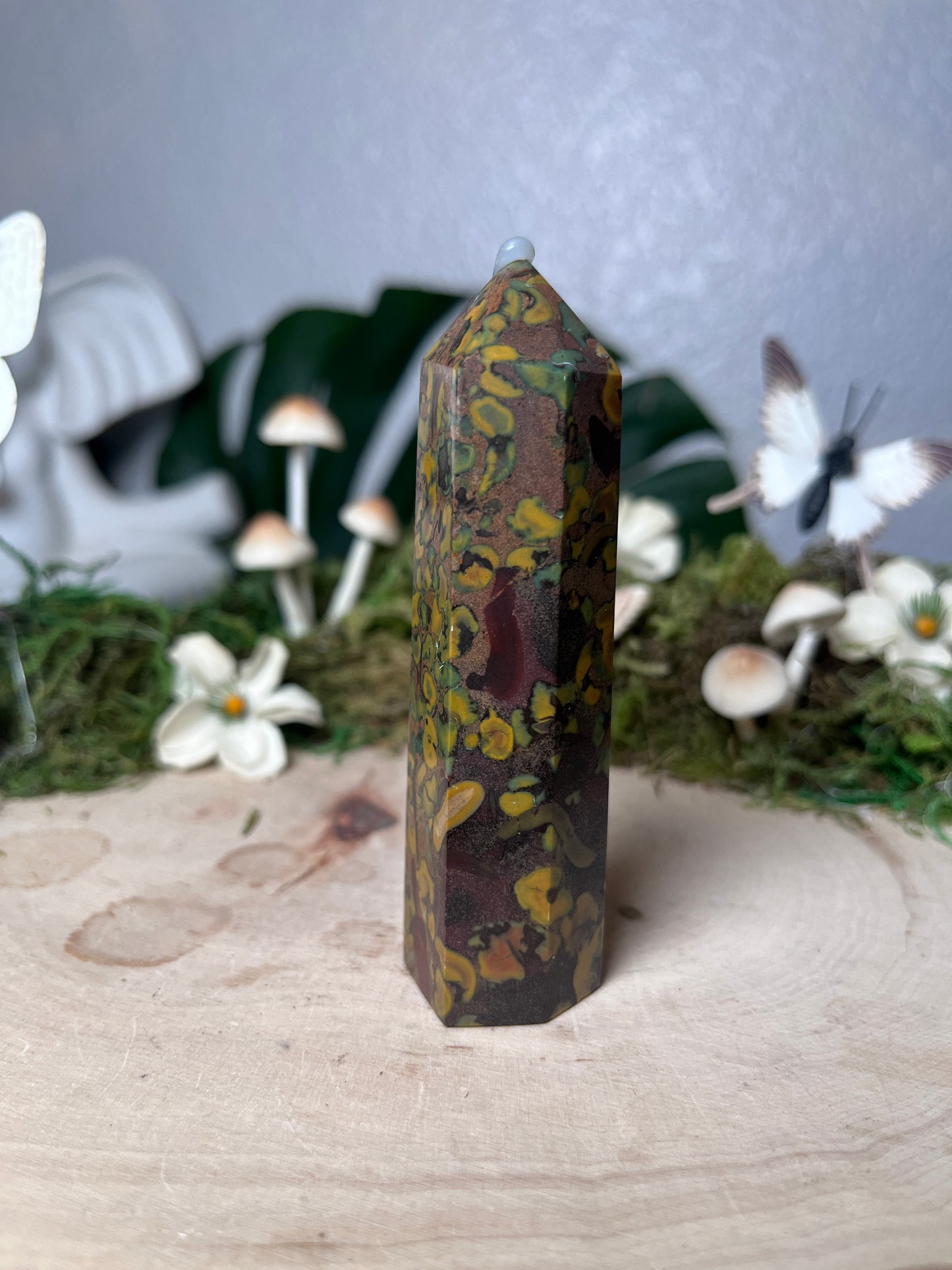 Fruit Jasper Poinr