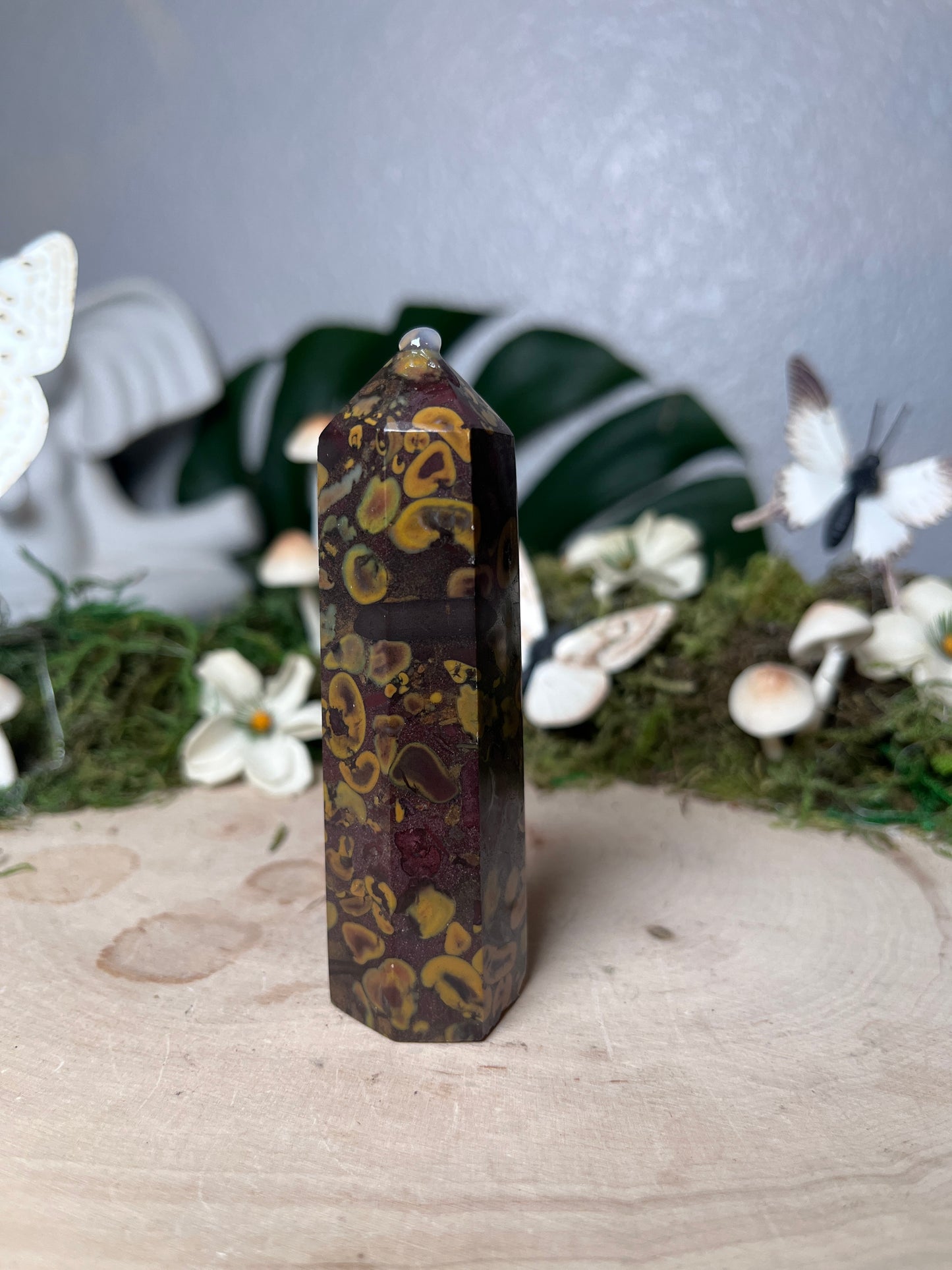 Fruit Jasper Poinr