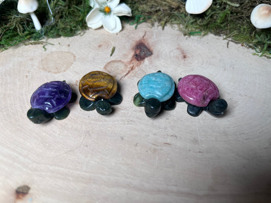 Mini Mixed Turtle