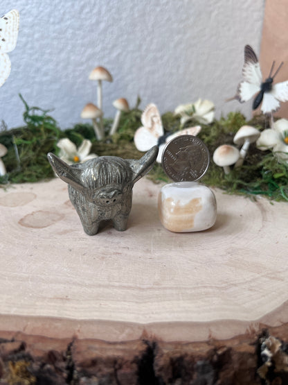 Pyrite Highland cow