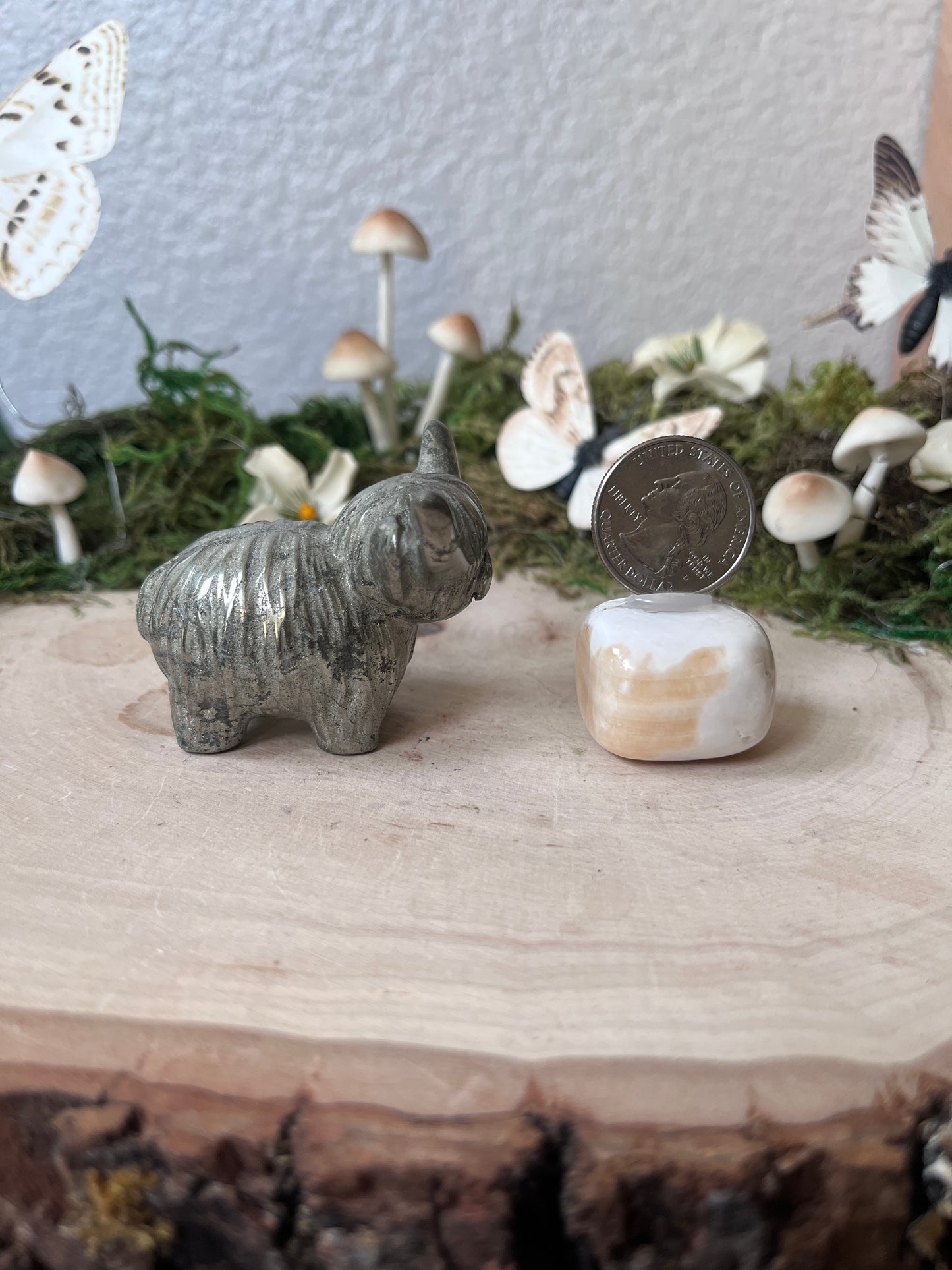 Pyrite Highland cow