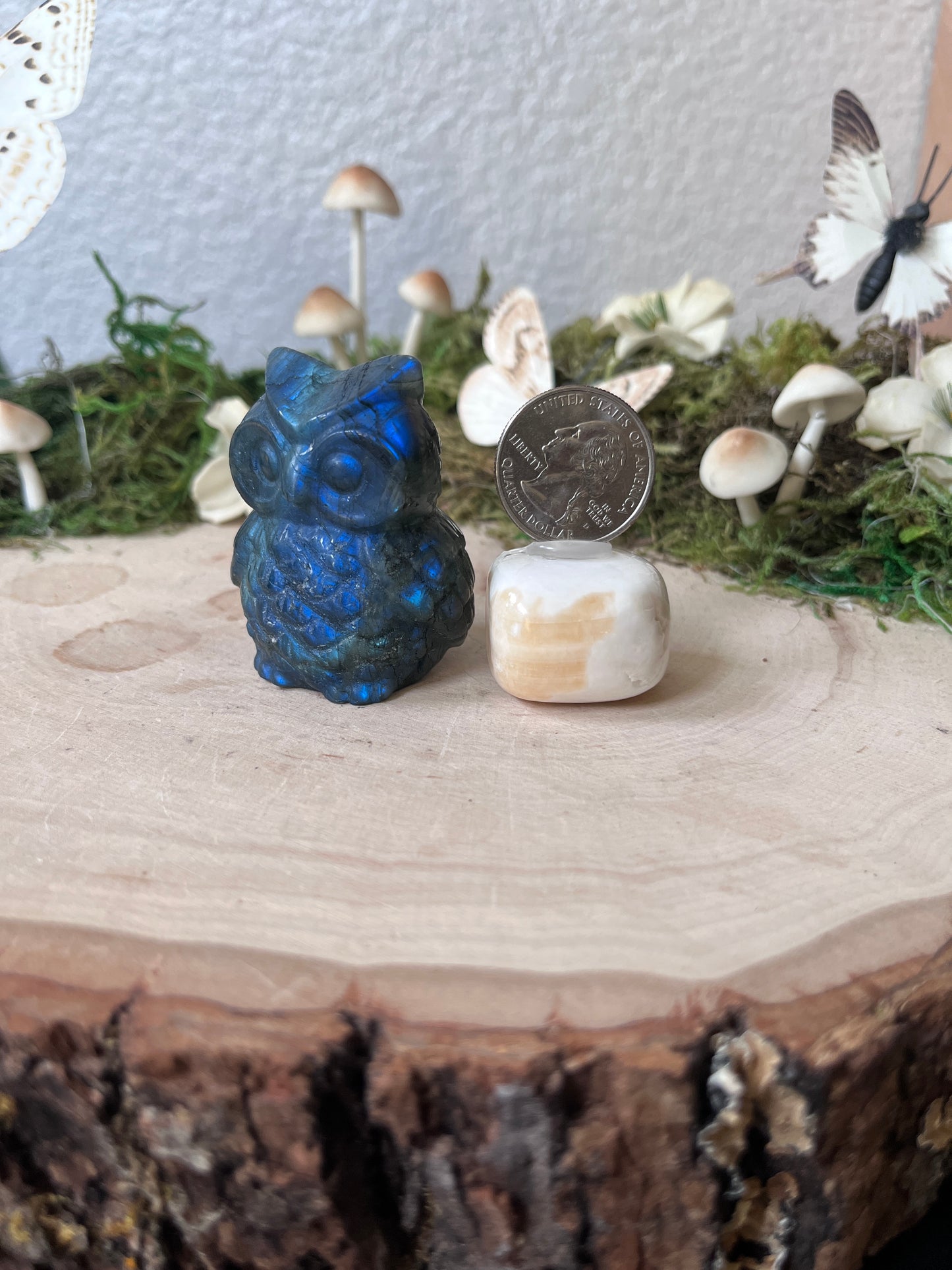 Labradorite Owl