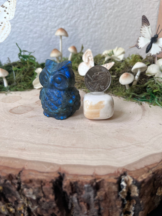 Labradorite Owl