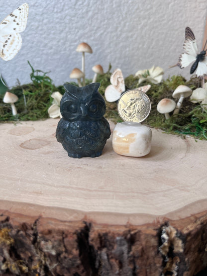 Labradorite Owl