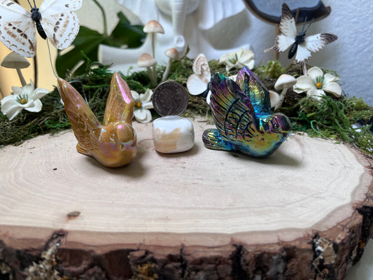 Aura Bird
