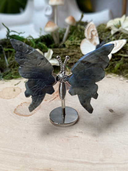 Butterfly on stand