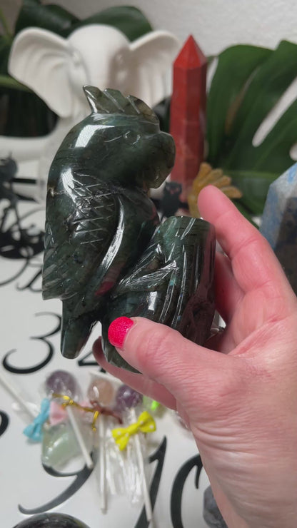 Labradorite Parrot