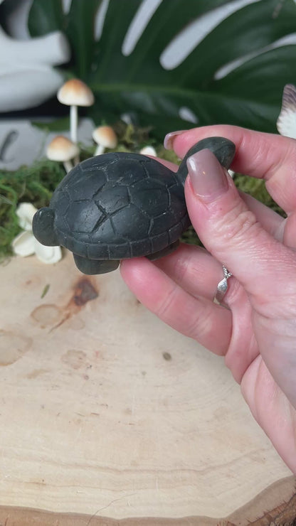 Labradorite Turtle